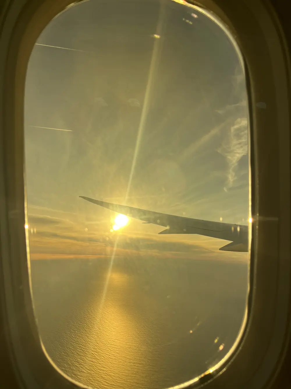 bye sf :'(