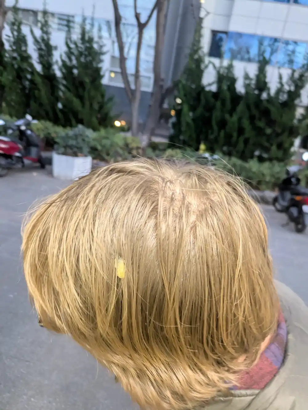 bird poop