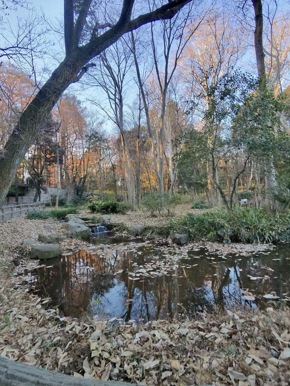 park2
