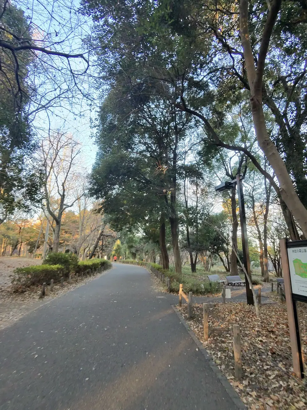 park1