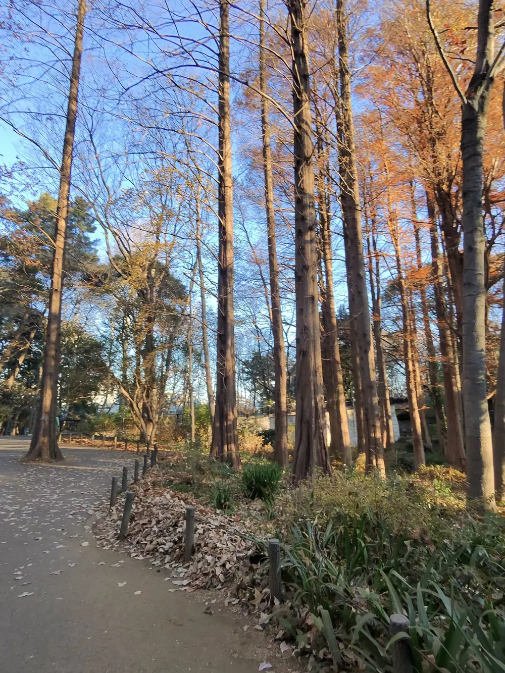 park3
