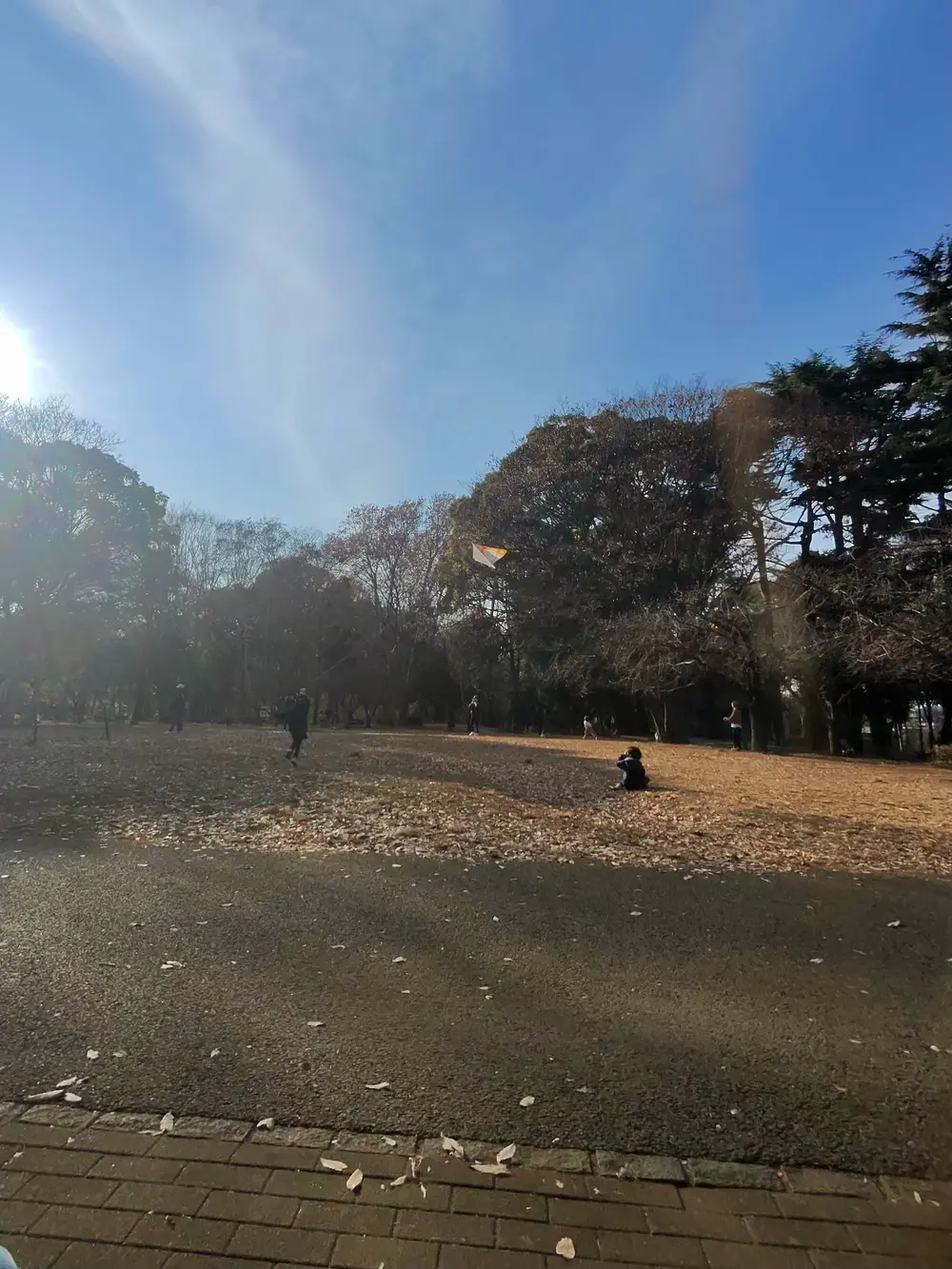 park3