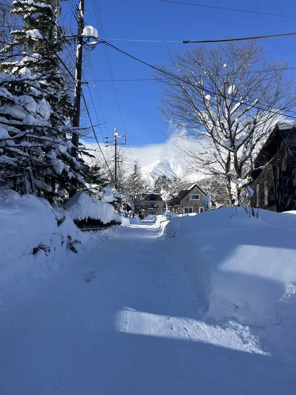 hakuba