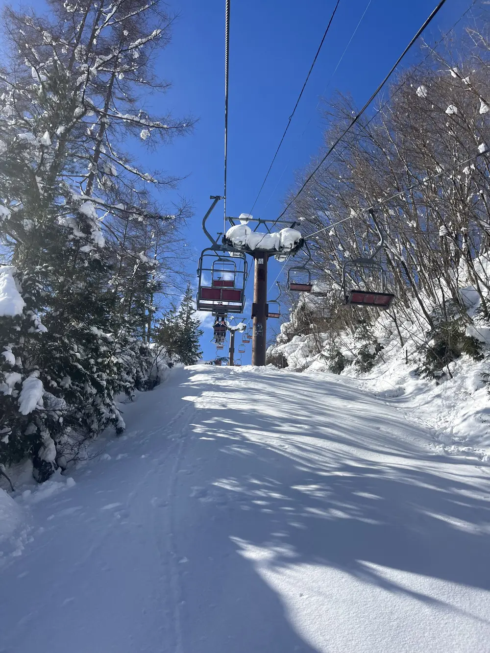 hakuba