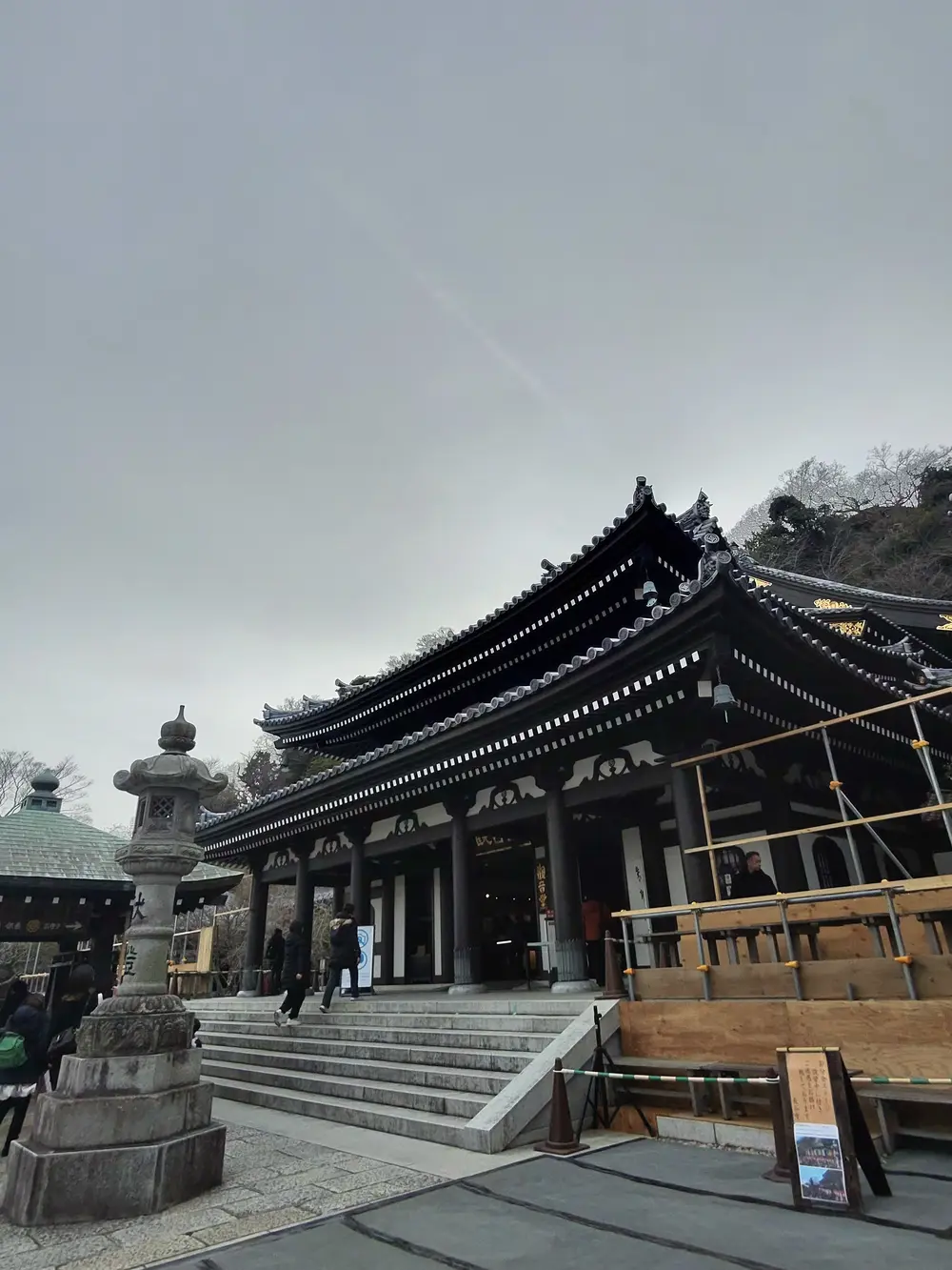 hasedera